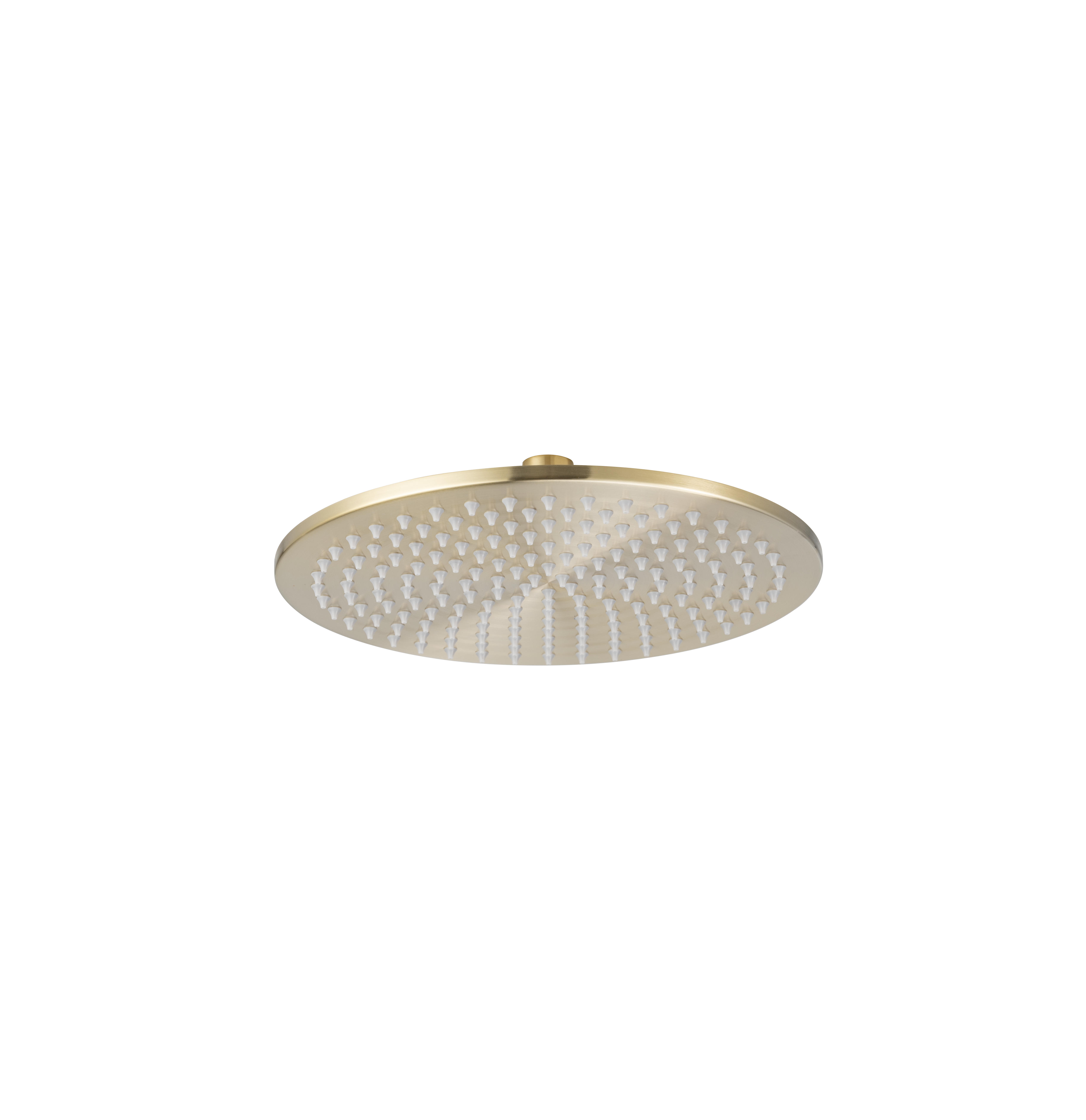 Shower%20Head%20Round%20250mm%20-%20Brushed%20Brass%20-%20Feature
