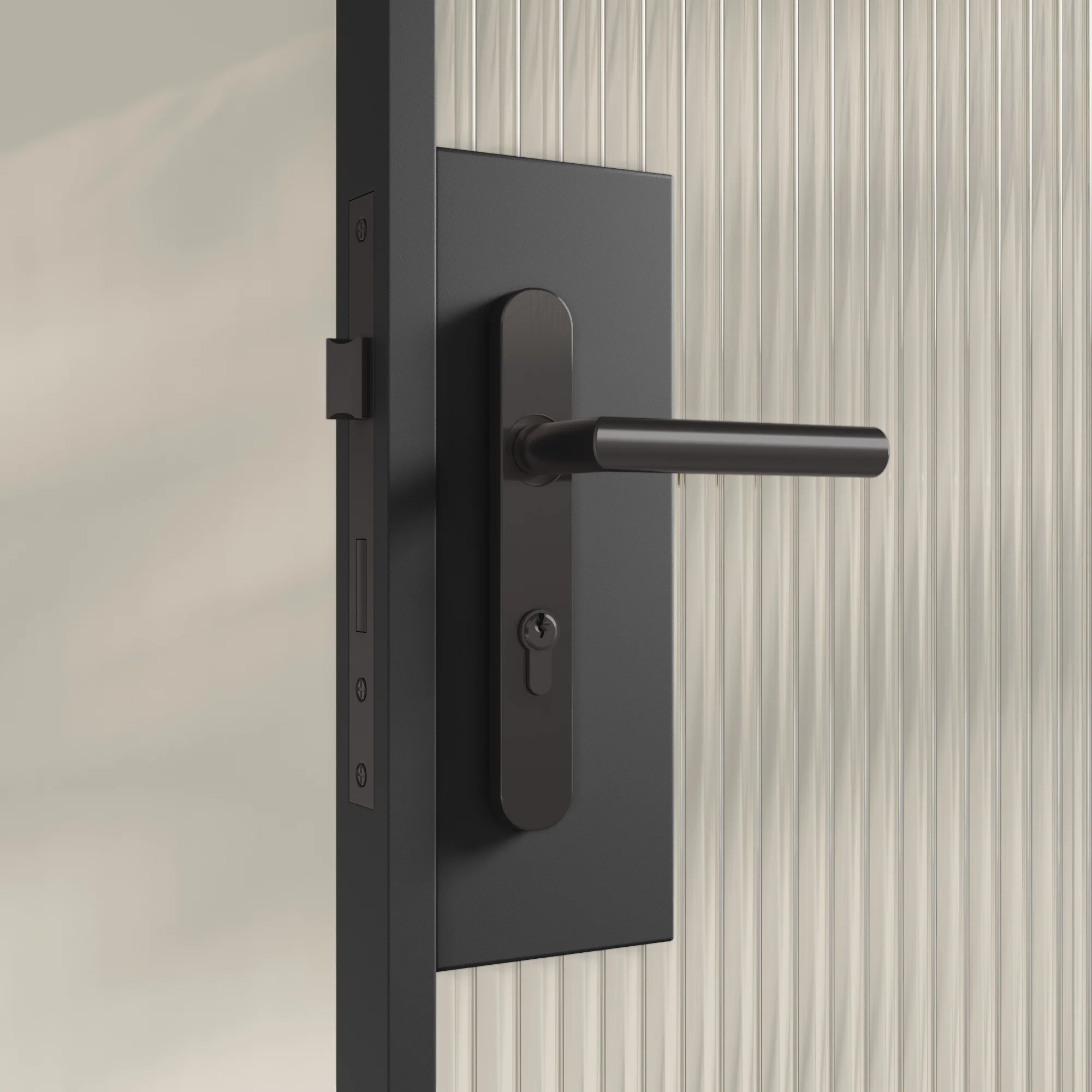 Entry Pulls Davis Entry Door Handle CLOSE UP Looking IN BG