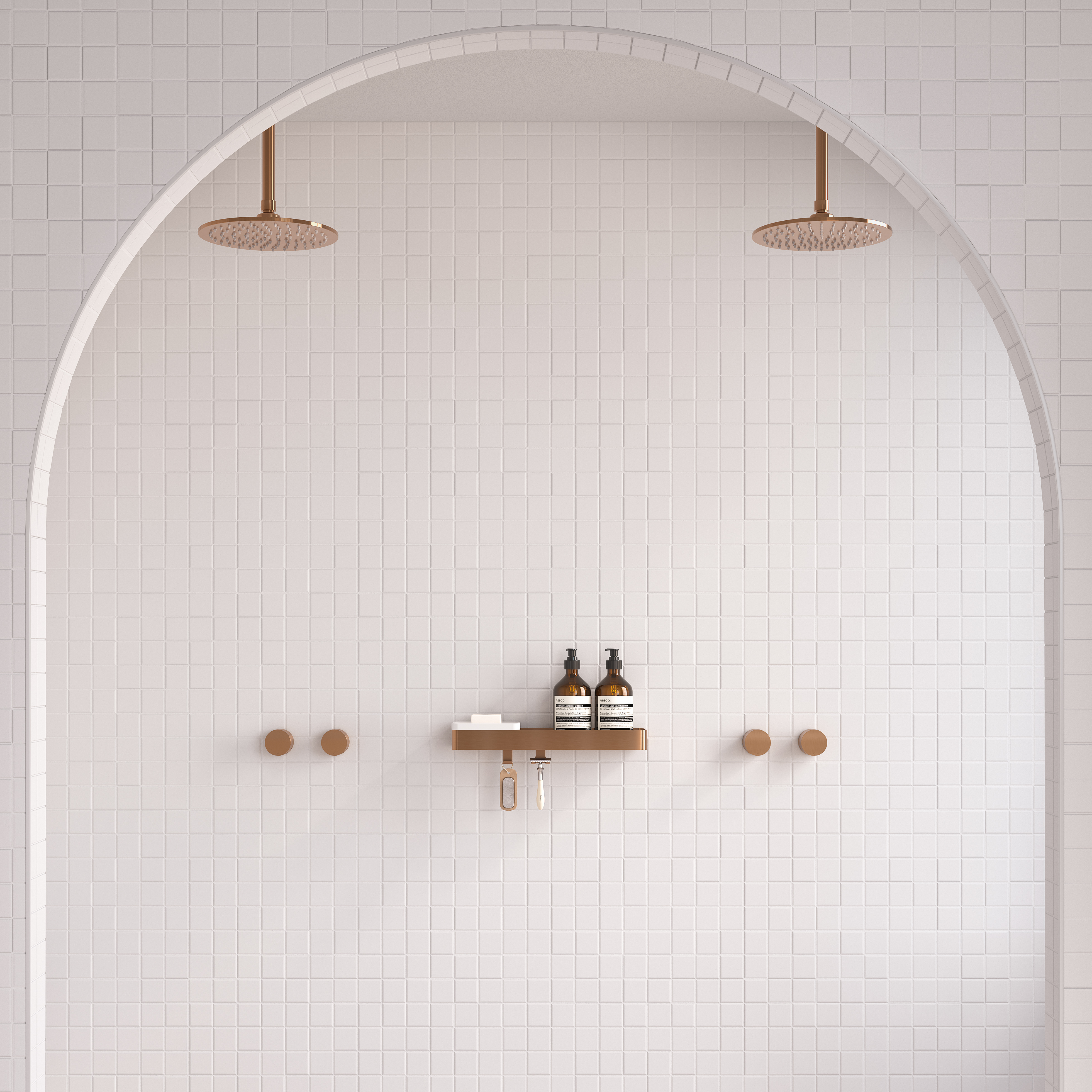 Maya Shower 1 BC