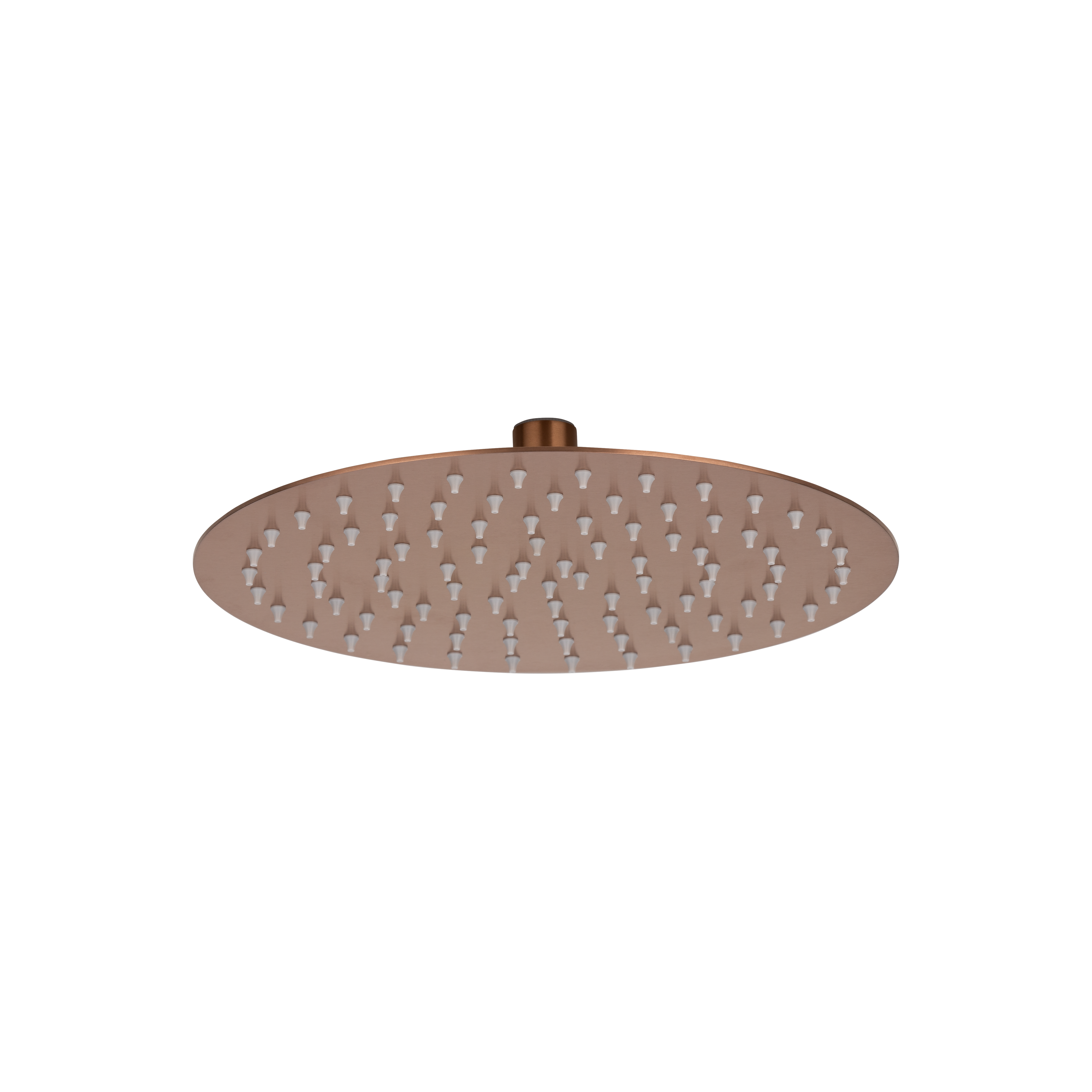 Solo Showerhead Round BrushedCopper