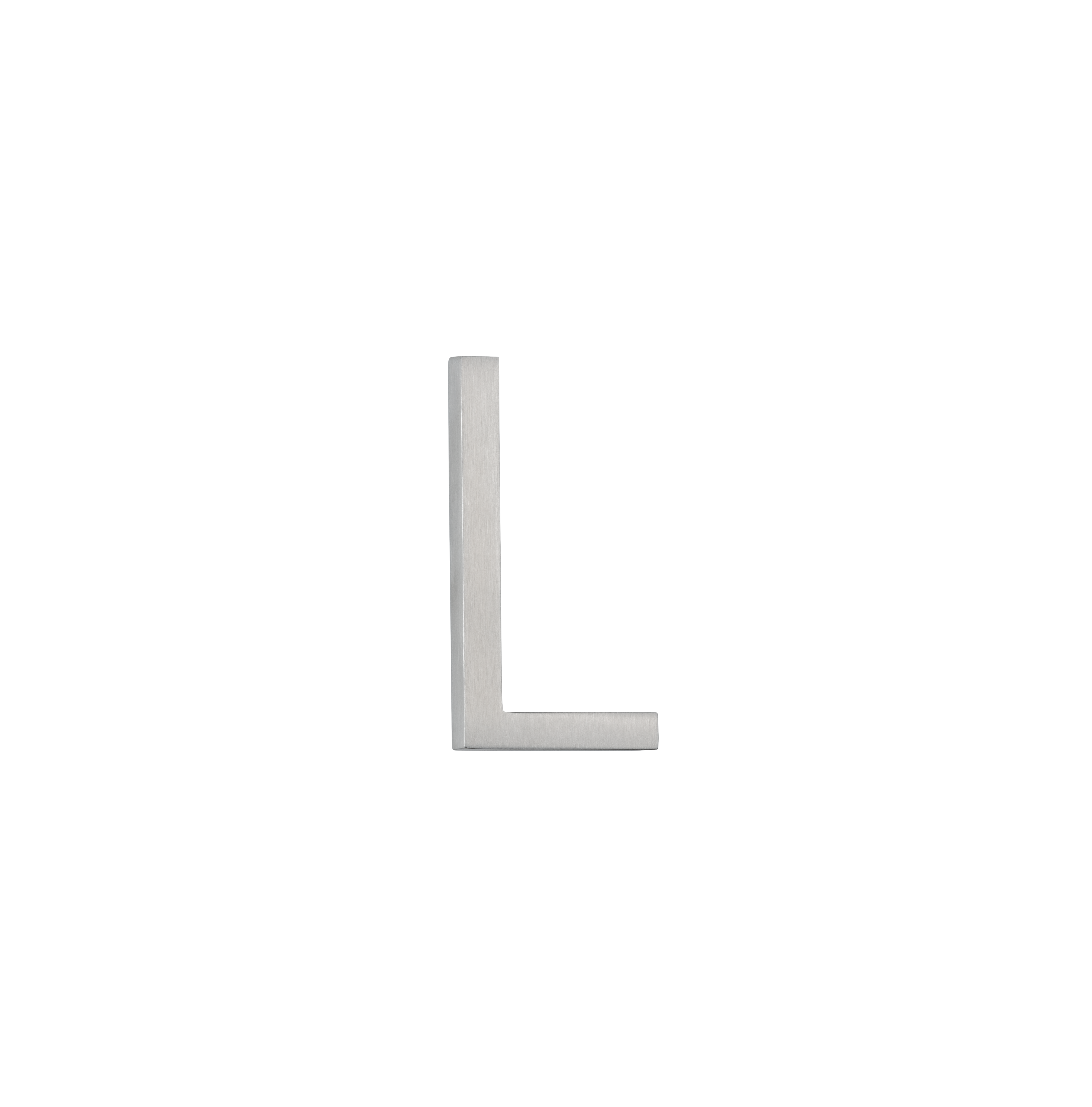 L 60mm Angled SS