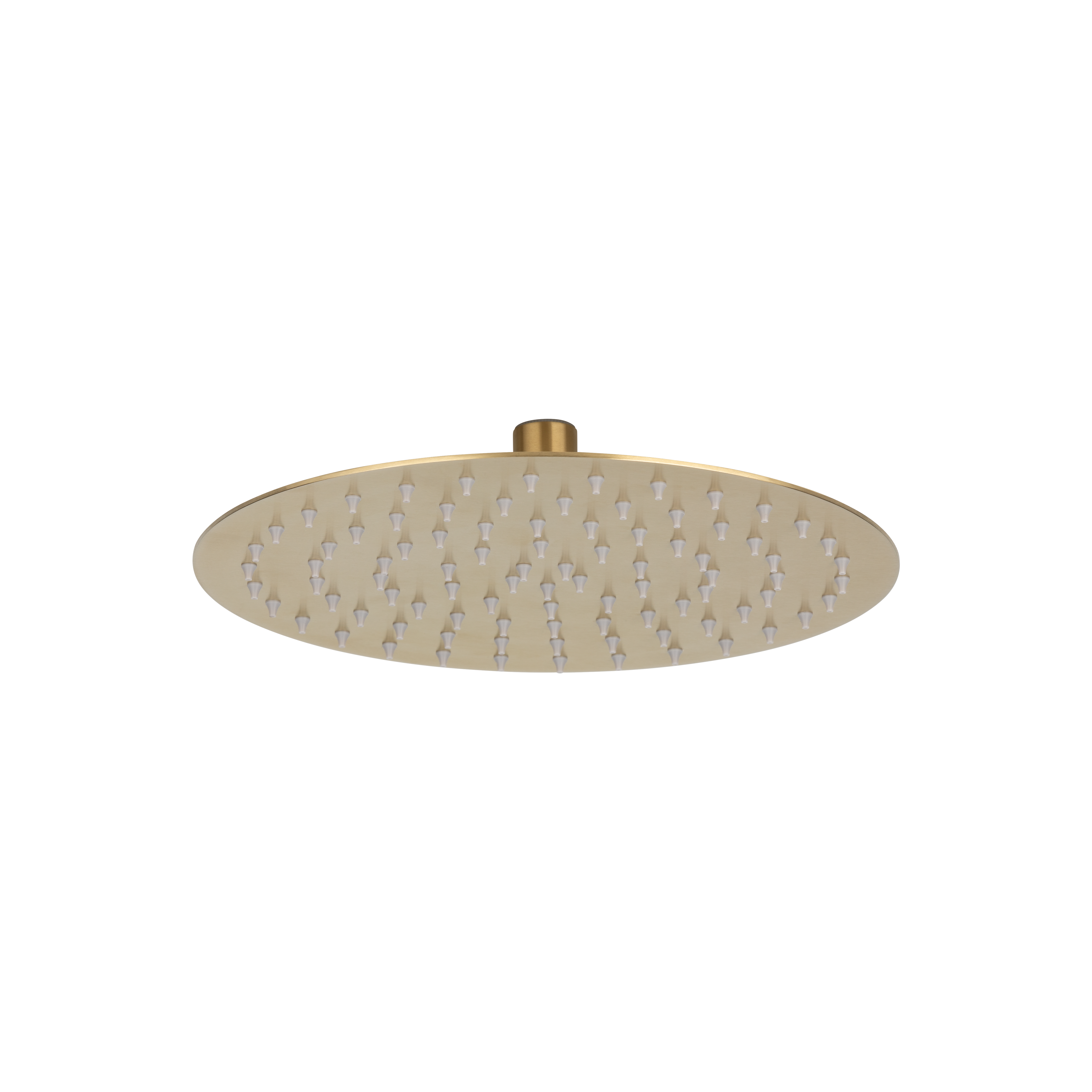 Solo Showerhead Round Brushedbrass