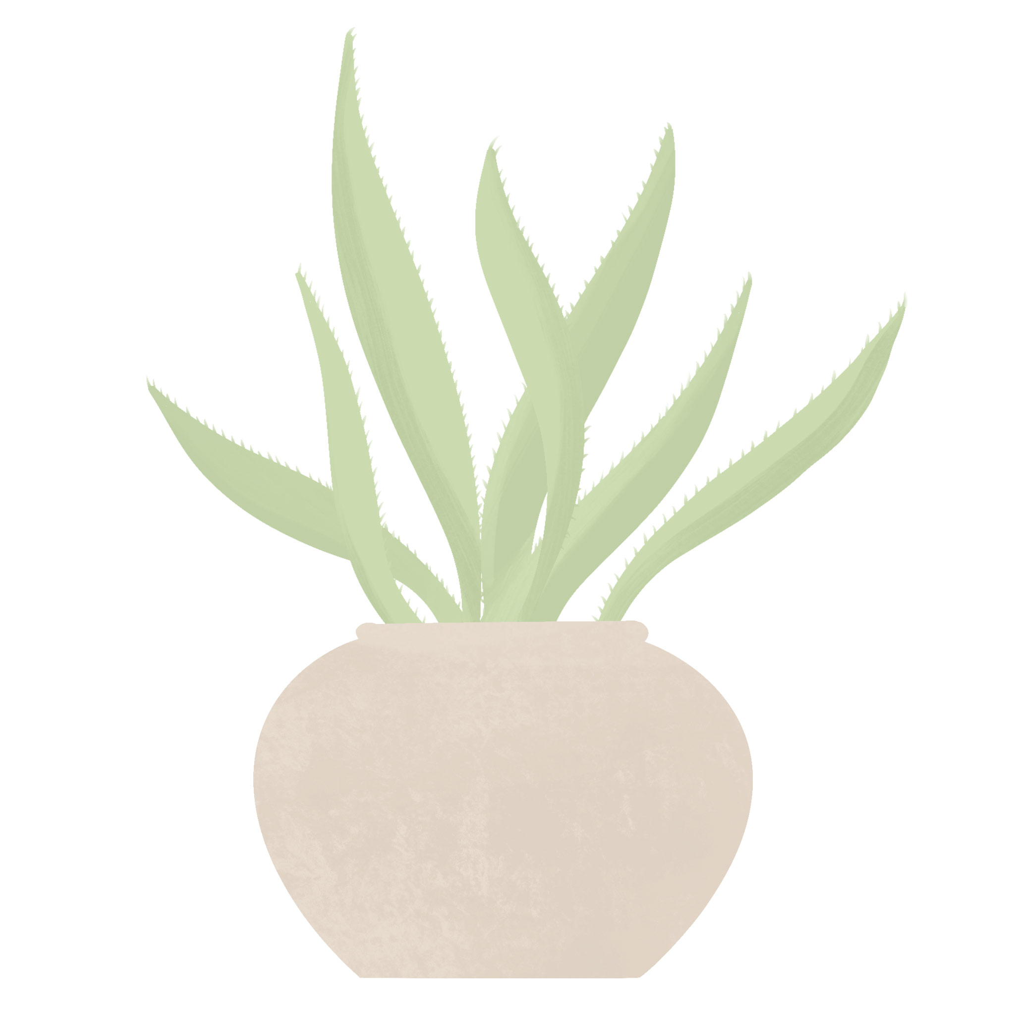 AloeVera