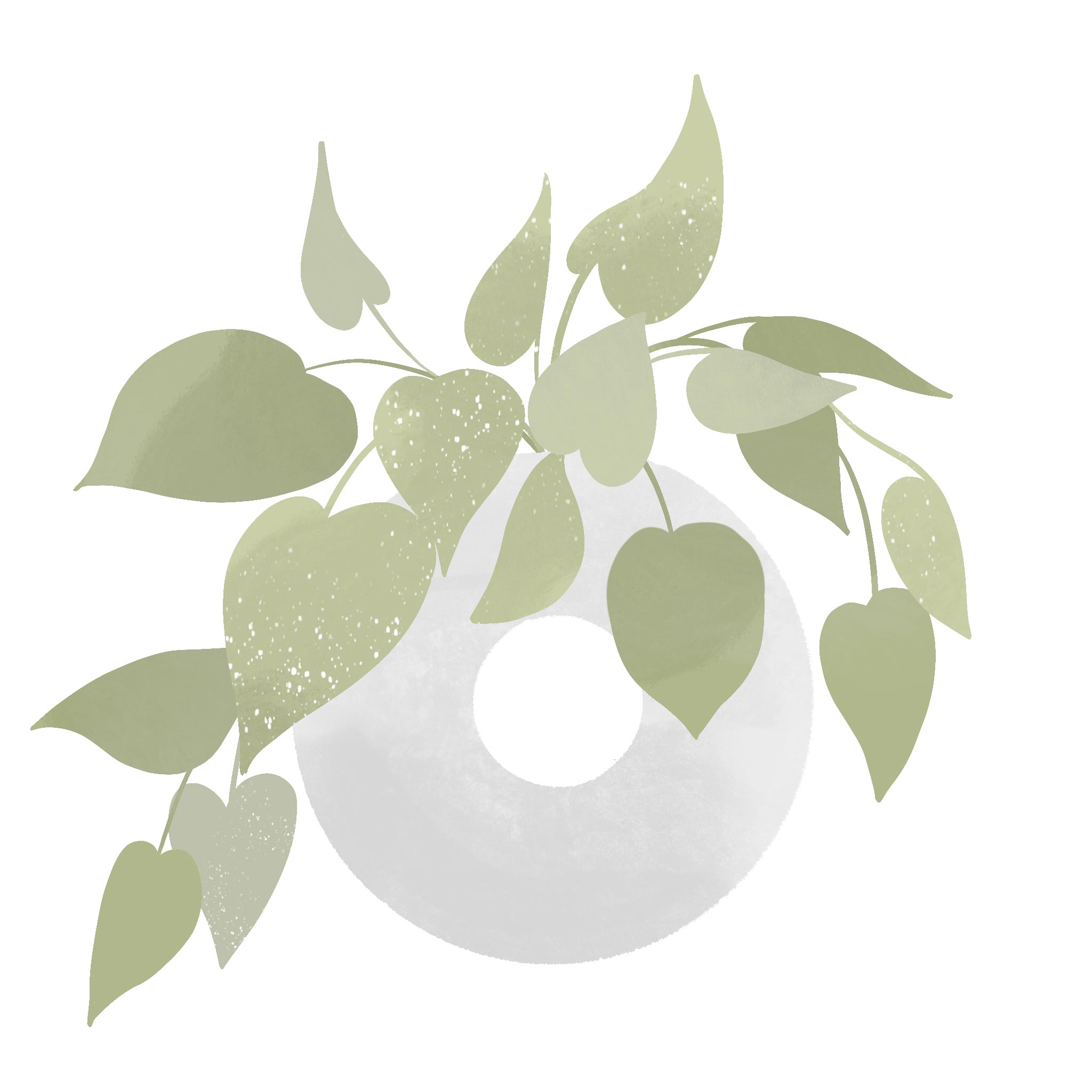 Golden-Pothos